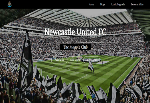 Newcastle-blog-fan-website